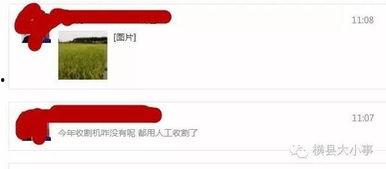 最新爆料图片怎么做的,最新爆料图片制作过程大揭秘